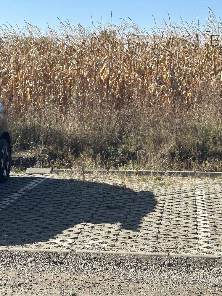 Loc de parcare exterior de închiriat în Strada Pomilor, Targu-Mures