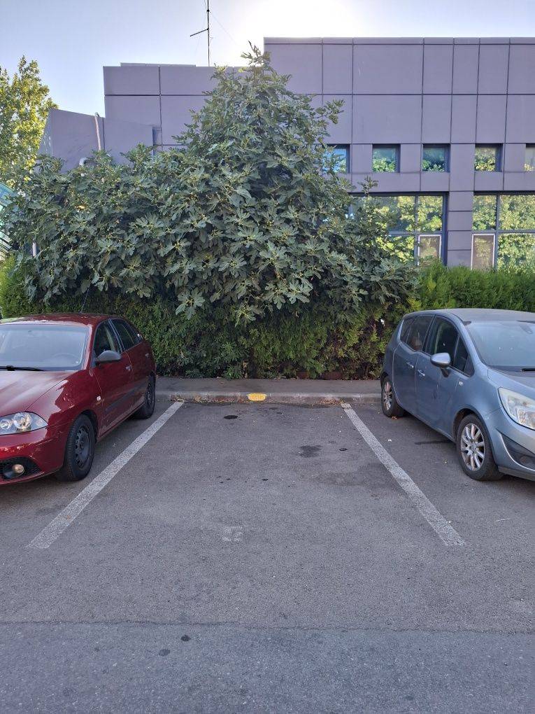 Loc de parcare exterior de închiriat în Strada Oborului, Navodari Tabara